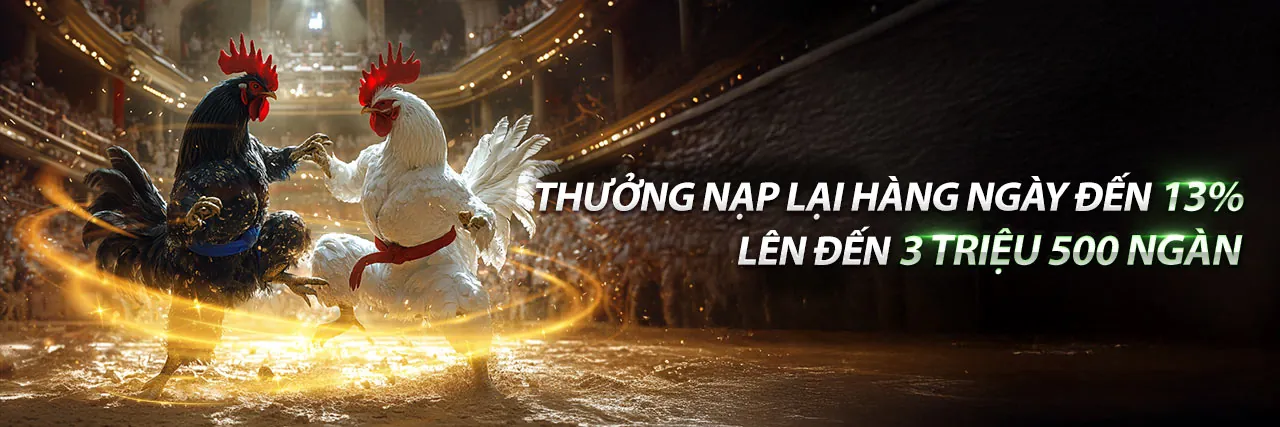Hình ảnh tổng quan các chương trình khuyến mãi và ưu đãi của DT88